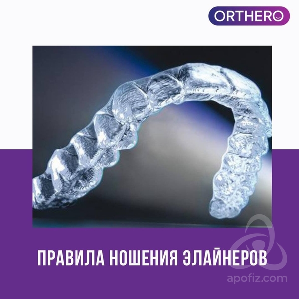 d51bf322-24c2-478c-b21b-5f9e4df9b17b.2-ccb7-4