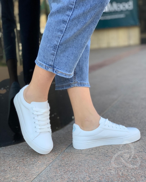 fb46500d-22c1-4c5b-acad-c08d2df0649e.2-ccb7-4