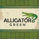 Alligator Green