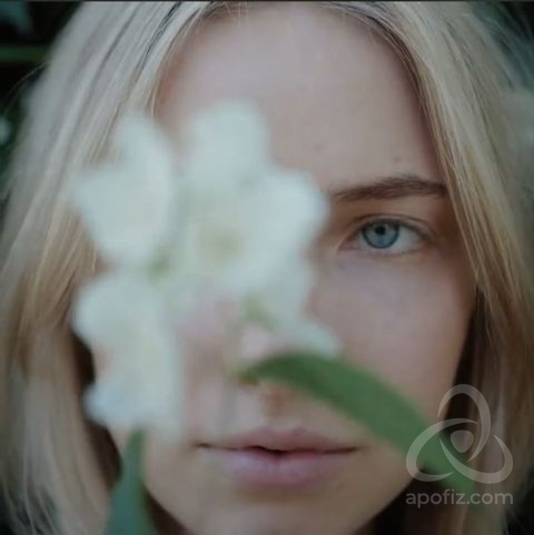 c83fd2ac-16f5-47d7-bd7f-f7820ebf7430.2-ccb7-4